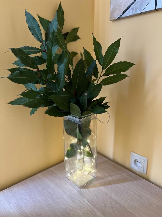 Guest House Gio Кобулеті Екстер'єр фото